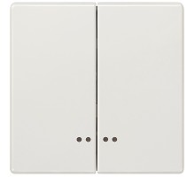 Клавиша двойная с окном DELTA STYLE платиновый метал. Siemens 5TG71581