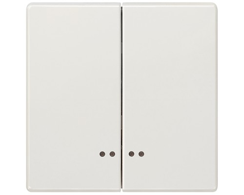 Клавиша двойная с окном DELTA STYLE платиновый метал. Siemens 5TG71581