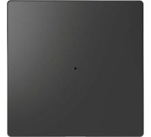 Клавиша одинарная Merten D-Life PlusLink без символов SD антрацит SchE MTN5210-6034