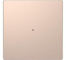 Клавиша одинарная Merten D-Life PlusLink без символов SD шампань SchE MTN5210-6051