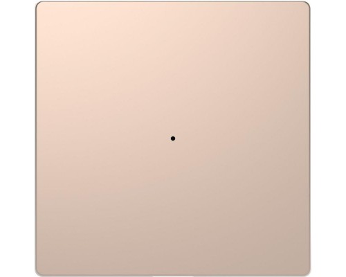 Клавиша одинарная Merten D-Life PlusLink без символов SD шампань SchE MTN5210-6051