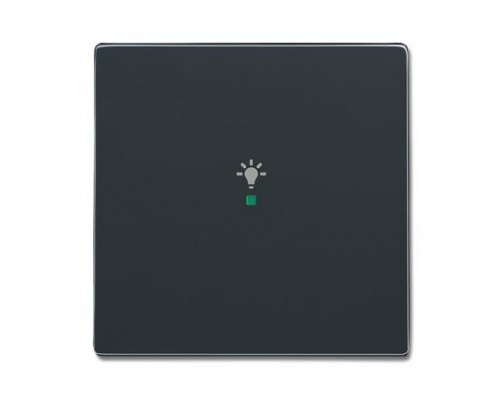 Клавиша одинарная SRL-1-81 free@home освещение future антрацит ABB 2CKA006220A0140