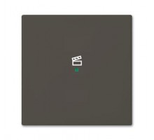 Клавиша одинарная SRS-1-95 free@home сцена Basic 55 chateau-черн. ABB 2CKA006220A0689