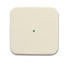 Клавиша одинарная сл. кость ABB 2CKA006220A0182