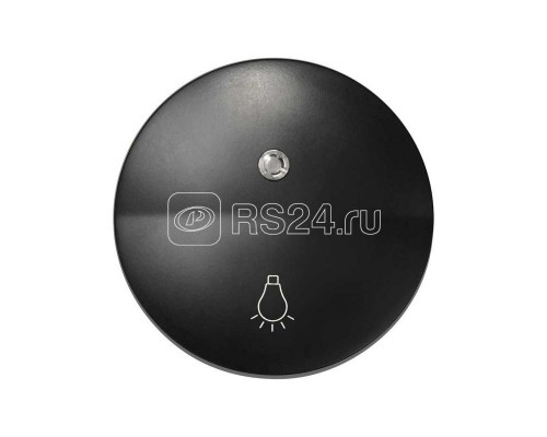 Клавиша с индикатором и пиктограммой свет для 75160-39 Simon88 графит 88016-38