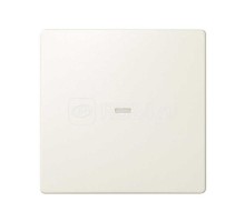 Клавиша с окном подсветки сл. кость Simon82 Detail 8200011-031