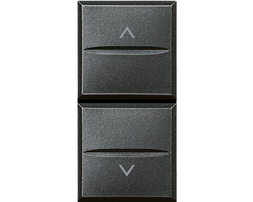 Кнопка двойн. с блокировкой 1п (NO) + 1п (NO) 10А 250В Axolute антрацит Leg BTC HS4037