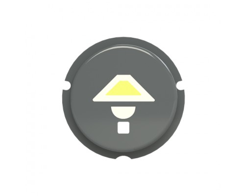 Кнопка Освещение SBL-N2GR free@home Zenit сер. ABB 2CLA202610N1402