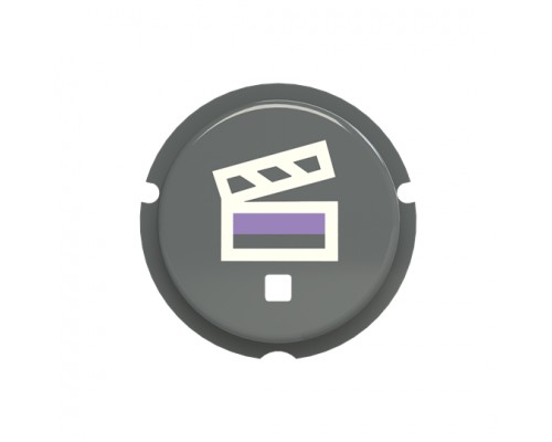 Кнопка Сцена SBS-N2GR free@home Zenit сер. ABB 2CLA202630N1402