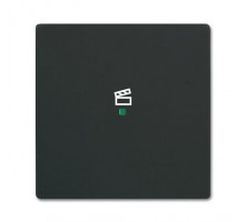 Компонент скрытого монтажа rocker 1gang scene ABB 2CKA006220A0621