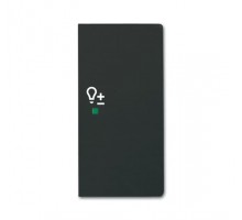 Компонент скрытого монтажа rocker 2g right dimming ABB 2CKA006220A0628