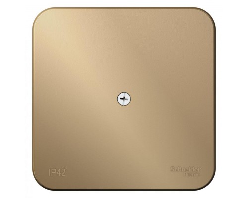 Коробка распределительная ОП BLANCA IP42 титан SchE BLNRK000014