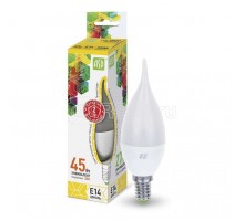 Лампа светодиодная LED-свеча на ветру-standard 5Вт свеча на ветру 3000К тепл. бел. E14 450лм 160-260В ASD 4690612004518