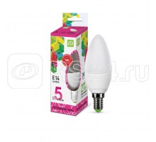 Лампа светодиодная LED-СВЕЧА-standard 5Вт 230В Е14 6500К 450лм ASD 4690612034072