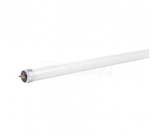 Лампа светодиодная PLED T5 - 600GL 8Вт FROST 4000К 230В/50Гц стекло JazzWay 5016033