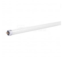 Лампа светодиодная PLED T5 - 600GL 8Вт FROST 6500К 230В/50Гц стекло JazzWay 5016040