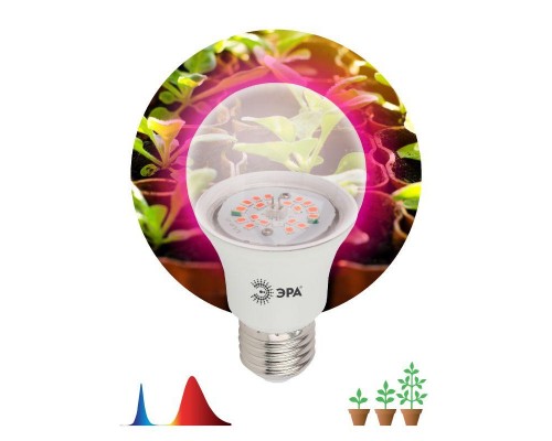 Лампа светодиодная для рассады FITO-14W-RB-E27-K А60 14Вт 220-240В красн./син. спектр ЭРА Б0039071