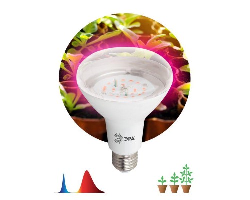 Лампа светодиодная для рассады FITO-16W-RB-E27-K А60 16Вт 220-240В красн./син. спектр ЭРА Б0039072
