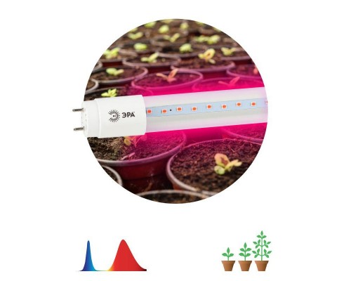 Лампа светодиодная для растений FITO-18W-RB-Т8-G13-NL Т8 96LED 2835 IP20 35000ч стекло красн./син. ЭРА Б0042990