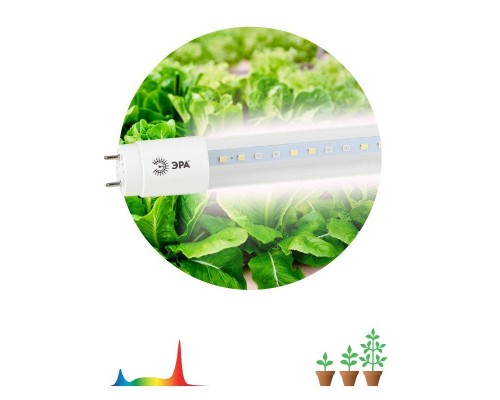 Лампа светодиодная для растений FITO-18W-Ra90-Т8-G13-NL Т8 92LED 2835 красн. и бел. IP20 35000ч стекло полноспектральная ЭРА Б0042987