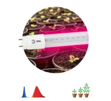 Лампа светодиодная для растений FITO-9W-RB-Т8-G13-NL Т8 48LED 2835 IP20 35000ч стекло красн./син. ЭРА Б0042986