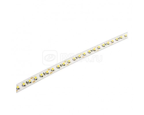 Лента светодиодная PLS 2835/120-12V-W 12Вт/м IP20 бел. свет (уп.5м) JazzWay 2859051
