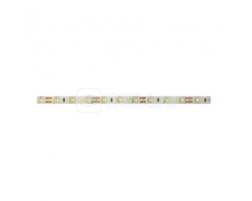 Лента светодиодная PLS PRO 2835/ 60-24В 6000К IP20 (уп.5м) JazzWay 5015654