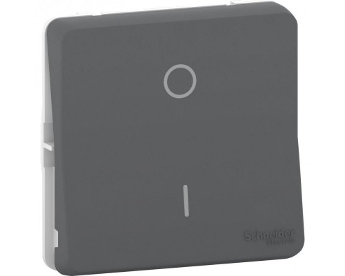 Механизм переключателя 1-кл. 2п СП Mureva Styl 16А IP55 антрацит SchE MUR35034