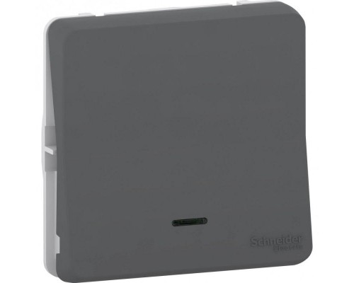 Механизм переключателя 1-кл. СП Mureva Styl 10А IP55 с подсветкой антрацит SchE MUR35025