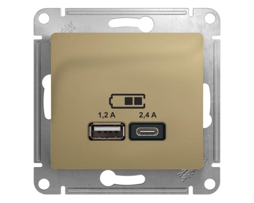 Механизм розетки USB GLOSSA A+С 5В/2.4А 2х5В/1.2А титан SchE GSL000439