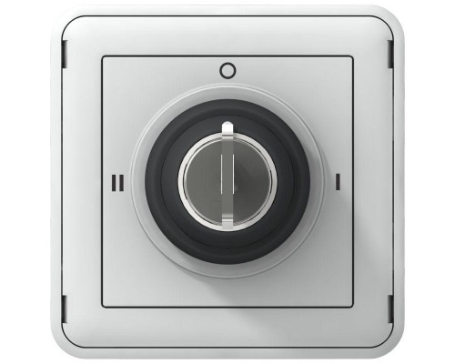Механизм выключателя 1-кл. Plexo 3А IP55 250В с ключом 3 полож. 2HO сер. Leg 069535