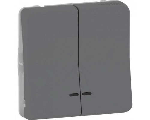 Механизм выключателя кнопочного 2-кн. Mureva Styl с подсвет. IP55 антрацит SchE MUR35228