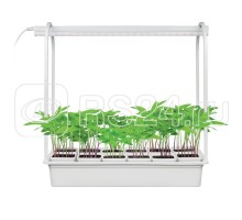 Набор Минисад ULT-P34-10W/SPLE IP40 WHITE 12 светильник для растений светодиодный с подставкой спектр для фотосинтеза 12 кашпо в/к бел. Uniel UL-00004998