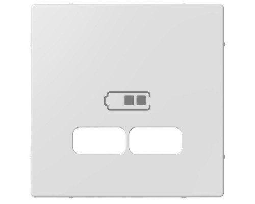 Накладка центральная Merten для механизма USB 2.1А SM активный бел. SchE MTN4367-0325