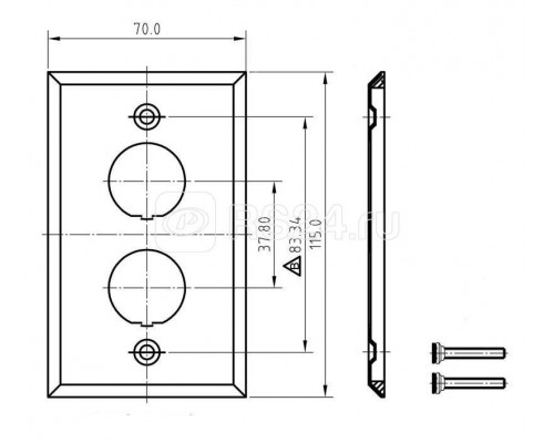 Панель лицевая FP-IE-U-2-SL для 2-х промышленных модулей IP67 нерж. сталь Hyperline 47287