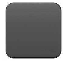 Переключатель 1-кл. ОП Blanca 10А IP20 (сх. 6) 250В с изолир. пластиной антрацит SchE BLNVA106016