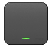 Переключатель 1-кл. ОП Blanca 10А IP20 (сх. 6) 250В с подсветкой с изолир. пластиной антрацит SchE BLNVA106116