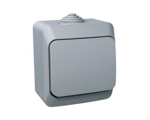 Переключатель 1-кл. ОП Этюд 10А IP44 10AX сер. SchE BA10-046C