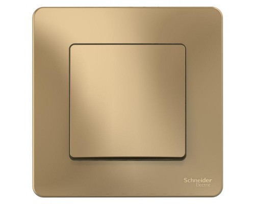 Переключатель 1-кл. СП Blanca 10А IP20 (сх. 6) 250В титан SchE BLNVS010604