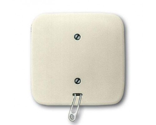Переключатель 1-кл. СП Busch-Duro 2000 SI 10А IP20 со шнурком сл. кость ABB 2CKA001315A0415