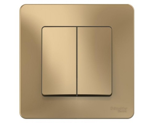 Переключатель 2-кл. СП Blanca 10А IP20 (сх. 6+6) 250В титан SchE BLNVS106604