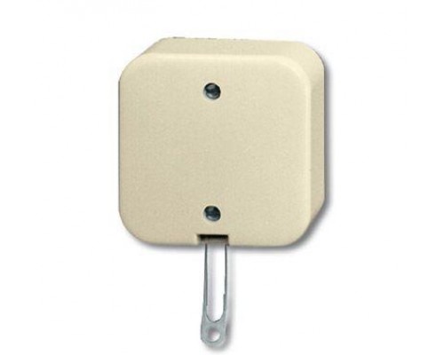 Переключатель ОП Busch-Duro 2000 AP 10А IP20 со шнурком сл. кость ABB 2CKA001343A0136