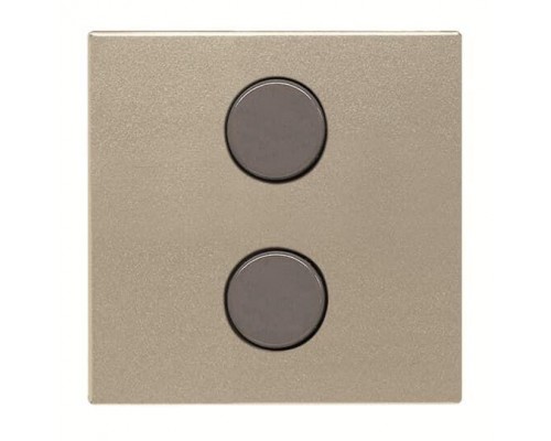 Плата центральная SR-2-N2CV 2-кноп. free@home Zenit шампань ABB 2CLA222620N1902