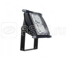 Прожектор LED ДО 29-50-022 D4 50Вт 5000К КСС_Д IP67 Carbon ALB F2824