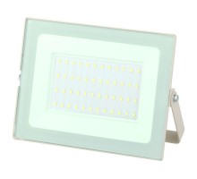 Прожектор уличный LPR-031-0-65K-050 LED 50Вт 6500К 4000лм 183х131х36 бел. (30/540) Эра Б0043572