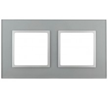 Рамка 2-м 14-5102-03 стекло Elegance алюминий+алюм ЭРА Б0034490