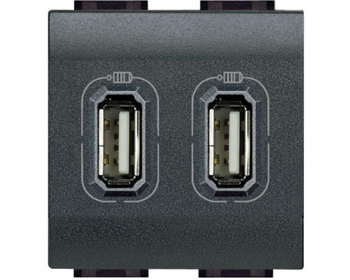 Разъем LL для зарядки 2хUSB антрацит Leg BTC L4285C2
