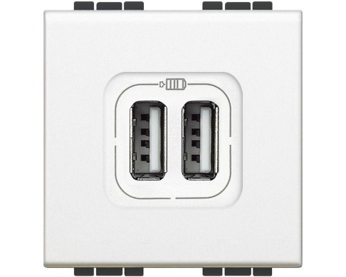 Разъем LL для зарядки 2хUSB бел. Leg BTC N4285C2