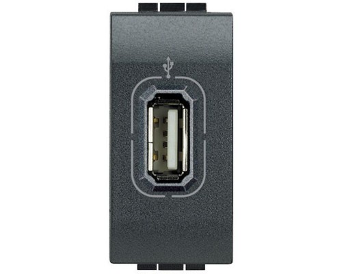 Разъем USB LivingLight антрацит Leg BTC L4285