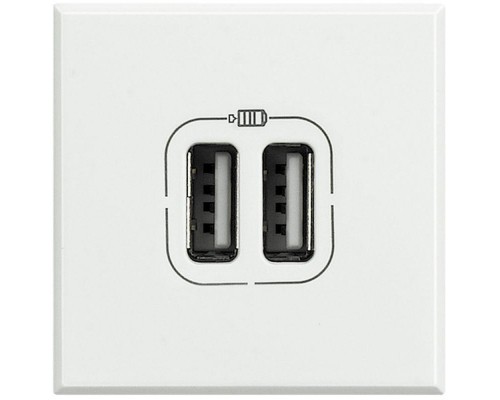 Разъем для зарядки 2хUSB Axolute бел. Leg BTC HD4285C2